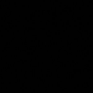 Meet your Posher, Quiana